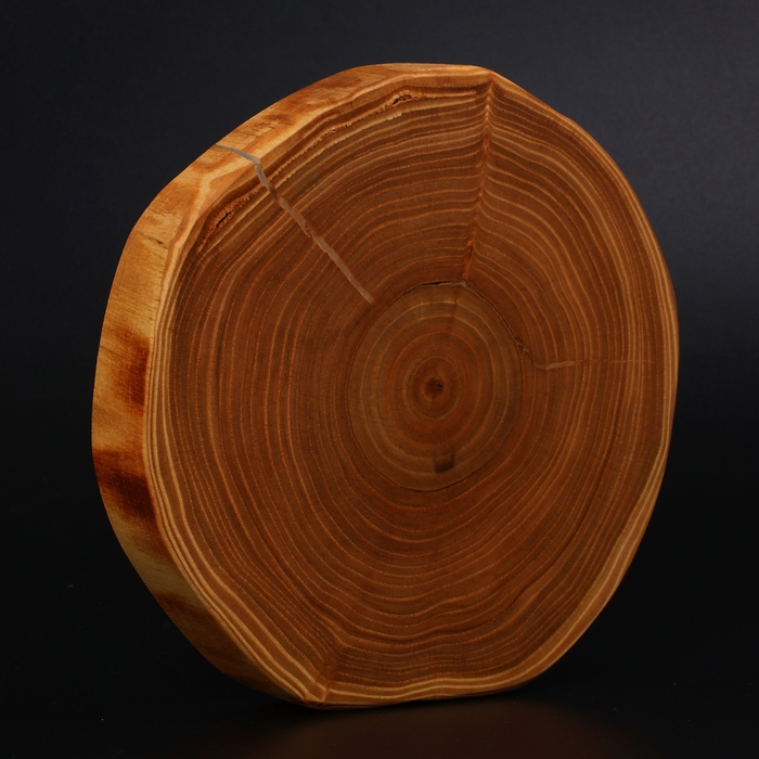 Доска разделочная из спила Wild Kitchen, d=160-200 мм, толщина 30 мм, цельный массив кедра Доска разделочная из спила Wild Kitchen, d=160-200 мм, толщина 30 мм, цельный массив кедра