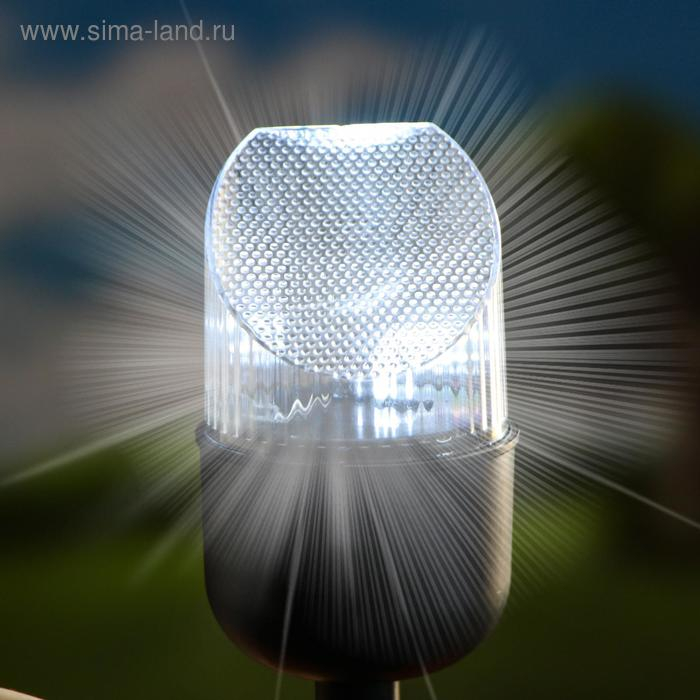 Садовый фонарь  Садовый фонарь "Белка с орешком под фонарем" 24х24см