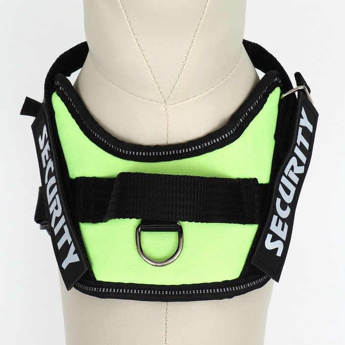 Шлейка К9 мягкая светоотражающая, размер ХS, ОГ 38-50 см, вес 3-6 кг, зелёная Шлейка К9 мягкая светоотражающая, размер ХS, ОГ 38-50 см, вес 3-6 кг, зелёная