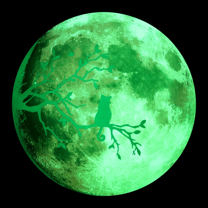 Наклейка 3Д интерьерная Наклейка 3Д интерьерная "Полнолуние", светящаяся, 30х30см
