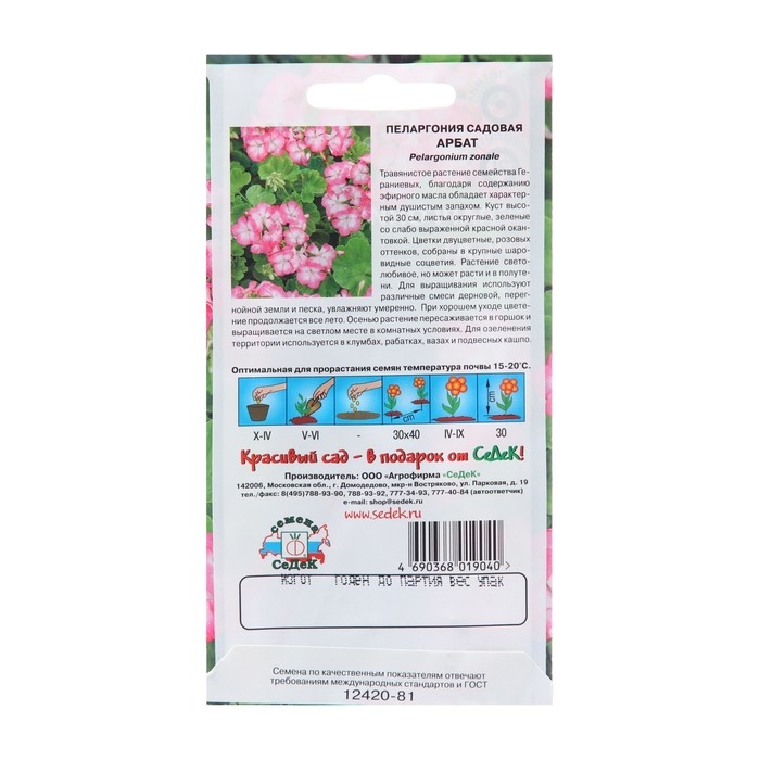 Семена цветов Пеларгония  Семена цветов Пеларгония "Арба", Евро, 5 шт