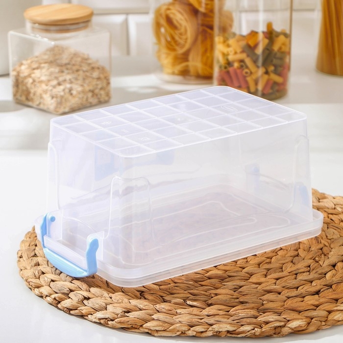 Контейнер пищевой RICCO, 3 л, 28×16×12 см, прямоугольный, прозрачный