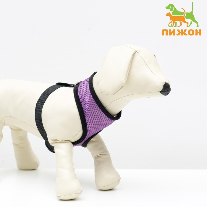 Шлейка мягкая из неопрена, размер XL, ОШ 42 см, ОГ 38-50 см, фиолетовая Шлейка мягкая из неопрена, размер XL, ОШ 42 см, ОГ 38-50 см, фиолетовая