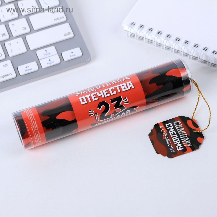 Ручка шариковая синяя паста в тубусе Ручка шариковая синяя паста в тубусе "Смелому и отважному", пластик