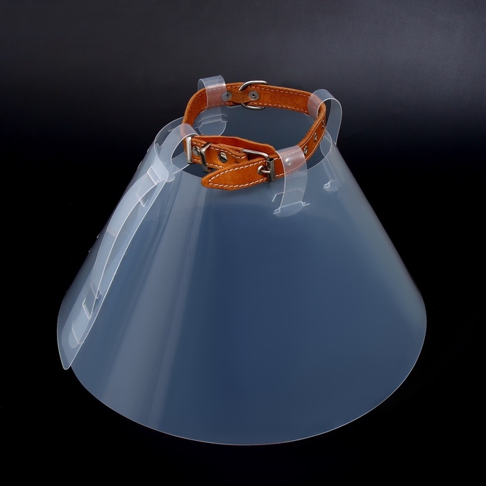 Ветеринарный воротник с креплением на ошейник, высота 20 см (без ошейника) Ветеринарный воротник с креплением на ошейник, высота 20 см (без ошейника)