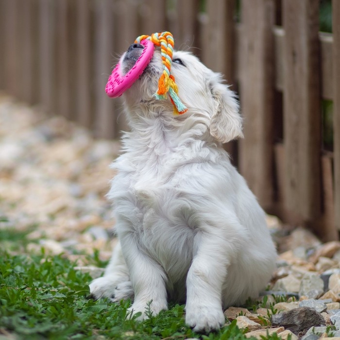 Игрушка жевательная с канатом Игрушка жевательная с канатом "Гиря", розовая