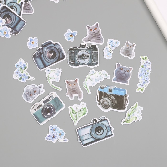 Наклейки для творчества Наклейки для творчества "Коты, голубые цветы и фото" 3,5х5 см набор 40 шт 9,4х8,4х0,5 см