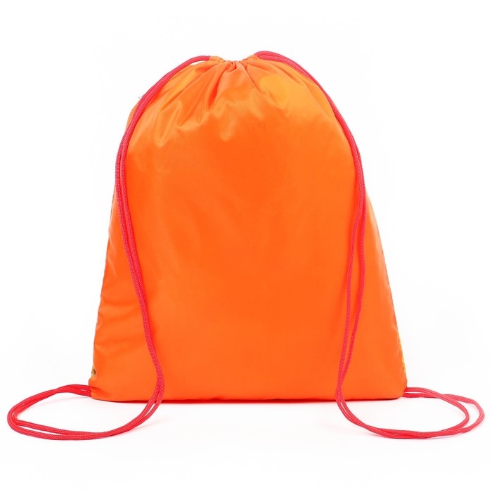 Мешок для обуви с карманом 420*350 мм, Союзмультфильм  Мешок для обуви с карманом 420*350 мм, Союзмультфильм "Котёнок по имени Гав" (мягкий полиэстер, плотность 210D)