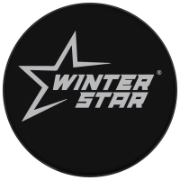 Шайба хоккейная Winter Star, детская, d=6 см