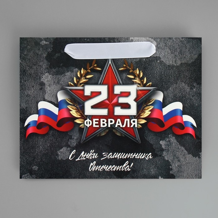 Пакет подарочный ламинированный вертикальный, упаковка, «23 февраля», MS 23 х 18 х 10 см Пакет подарочный ламинированный вертикальный, упаковка, «23 февраля», MS 23 х 18 х 10 см