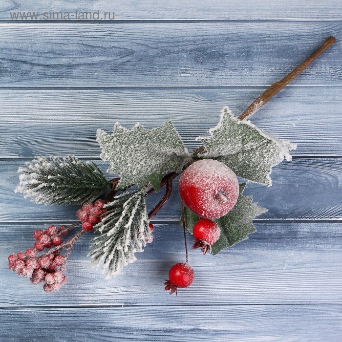 Декор  Декор "Зимние грезы" яблоко калина красная, 20 см