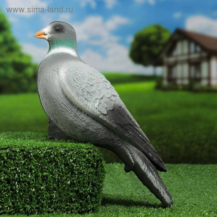 Фигура подсадная  Фигура подсадная "Голубь" 34х12х13см