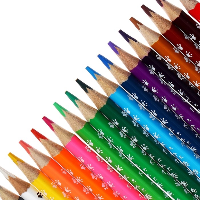 Карандаши 18 цветов Карандаши 18 цветов "Енот-следопыт"