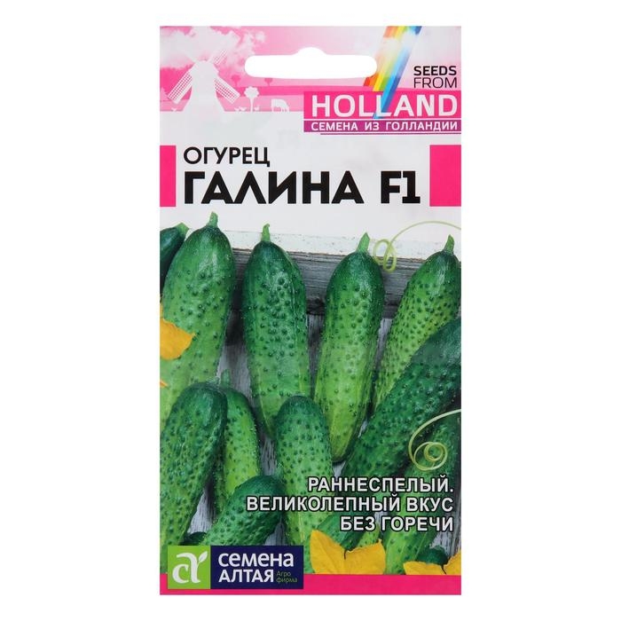 Семена огурца Семена огурца "Галина", F1, 5 шт.