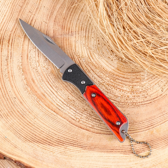 Нож складной Нож складной "Охотник" 15,8см, клинок 72мм/1,8мм, с цепочкой