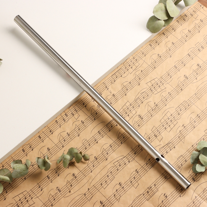 Флейта Music Life 304, 46 см, нержавеющая сталь, тональность F Флейта Music Life 304, 46 см, нержавеющая сталь, тональность F