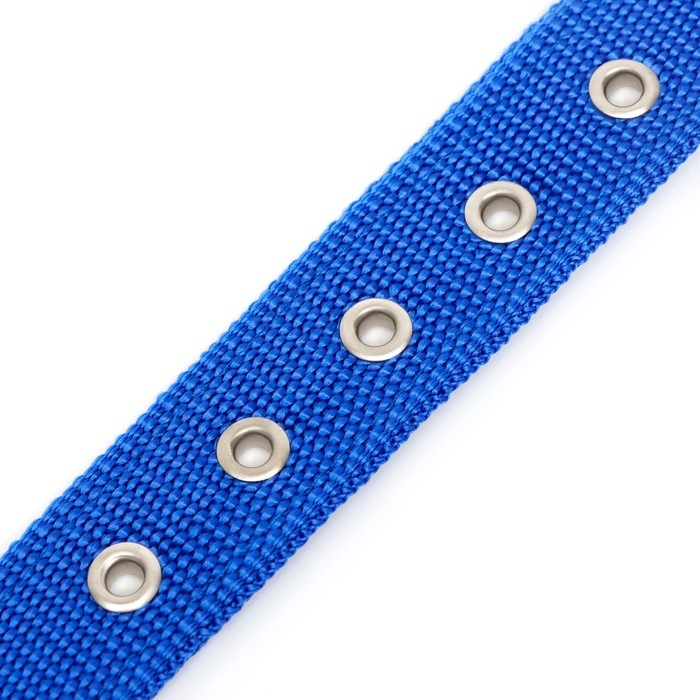 Ошейник Ошейник "Комфорт" комбинированный, 58 х 3 см, ОШ 45-52 см, синий