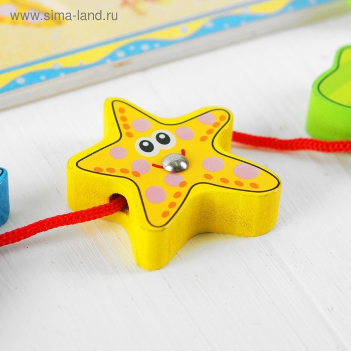 Шнуровка «Море» Шнуровка «Море»