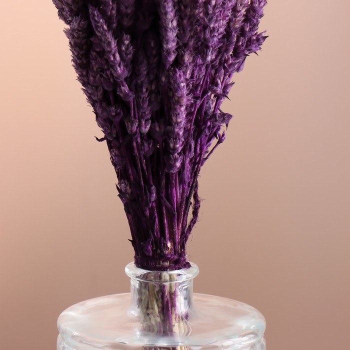 Набор сухоцветов Набор сухоцветов "Железница", банч длина 35 (+/- 6 см), сливовый