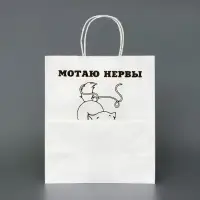 Пакет белый, с приколом, «Мотаю нервы», 24×14×28 см