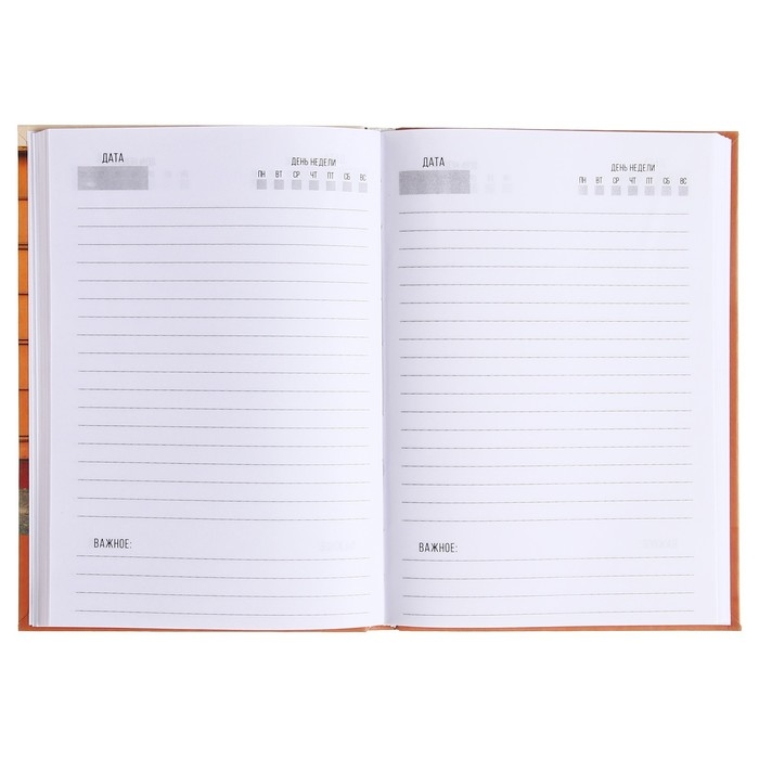 Ежедневник недатированный на сшивке А5 136 листов, интегральная обложка, матовая ламинация Ежедневник недатированный на сшивке А5 136 листов, интегральная обложка, матовая ламинация "Велосипед"