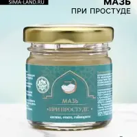 Мазь при простуде, ангине, отите, гайморите, GoryStepy, 30 мл