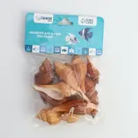 Набор ракушек, 3 - 5 см, 100 г