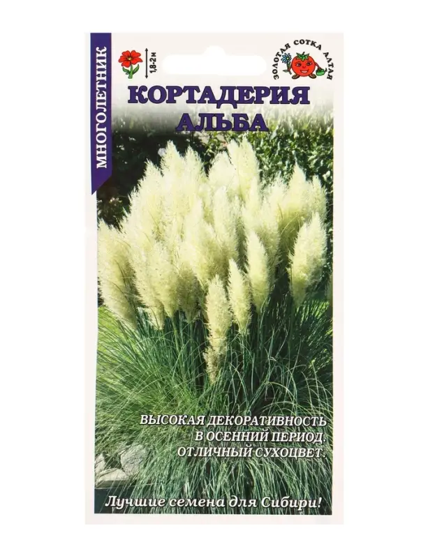 Семена Кортадерия Альба /Сотка/ 25шт/ h-1,8-2м/*500 Семена Кортадерия Альба /Сотка/ 25шт/ h-1,8-2м/*500