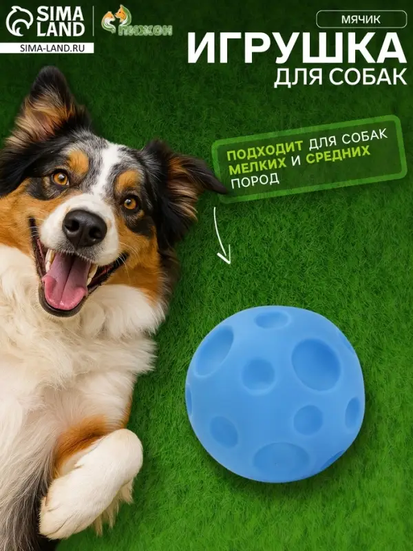 Игрушка пищащая "Мячик" для собак, 6,5 см, голубая