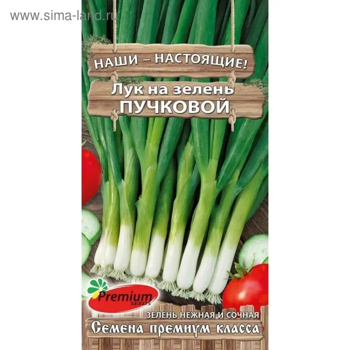 Семена Лук на зелень Пучковый, 1гр Семена Лук на зелень Пучковый, 1гр
