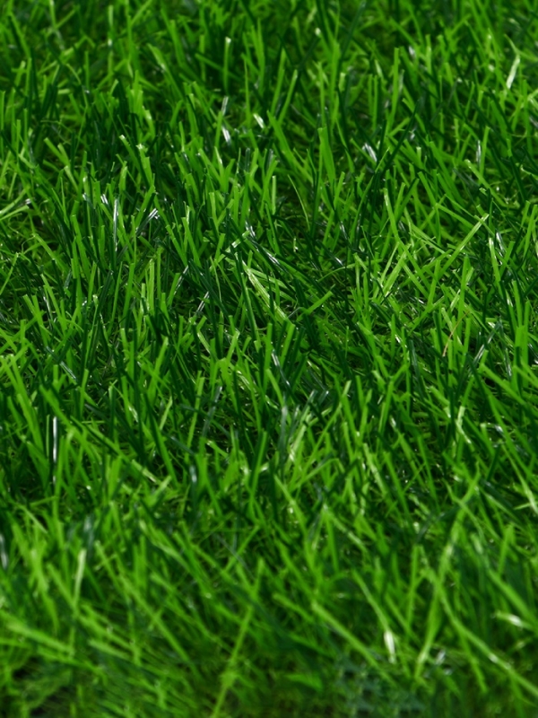 Газон искусственный, ворс 30 мм, 1 × 2 м, зелёный, Greengo Газон искусственный, ворс 30 мм, 1 × 2 м, зелёный, Greengo