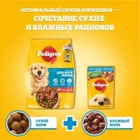 Влажный корм Pedigree для собак, говядина/ягненок в соусе, пауч, 85 г