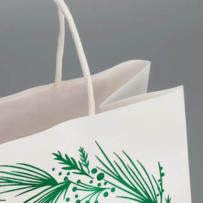 Пакет подарочный новогодний крафтовый «Тепла и уюта», 22 х 25 х 12 см Пакет подарочный новогодний крафтовый «Тепла и уюта», 22 х 25 х 12 см