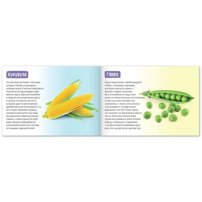 Обучающая книга &laquo;Овощи&raquo;, 20 стр.