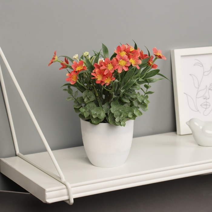 Бонсай в горшке Бонсай в горшке "Фрезия премиум экстра" 21х9 см, микс