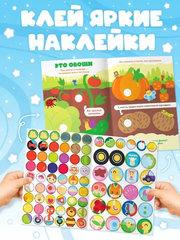 Книги &laquo;Годовой курс&raquo;, набор 12 книг, Малышарики