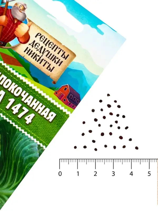Семена Капуста белокочанная «Зимовка 1474», 0.1 г Семена Капуста белокочанная «Зимовка 1474», 0.1 г