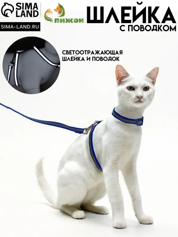 Комплект для кошек, шлейка 21-35 см, ширина 1 см, поводок 120 см, светоотражающий, синий