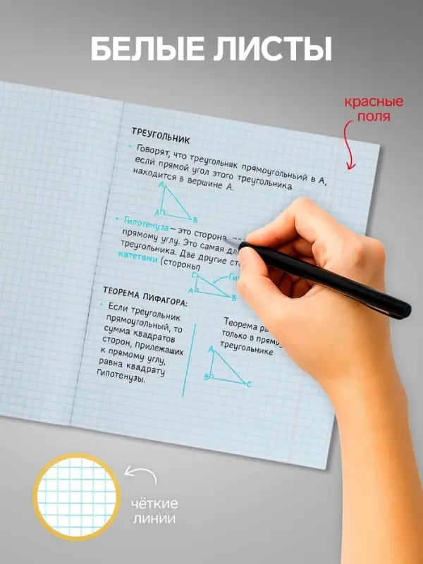Тетради 36 листов в клетку, Calligrata &laquo;Кактус&raquo;, 5 штук