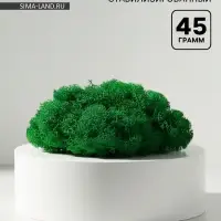 Мох декоративный стабилизированный &laquo;Ярко-зелёный&raquo; 45 г (&plusmn;5 г)