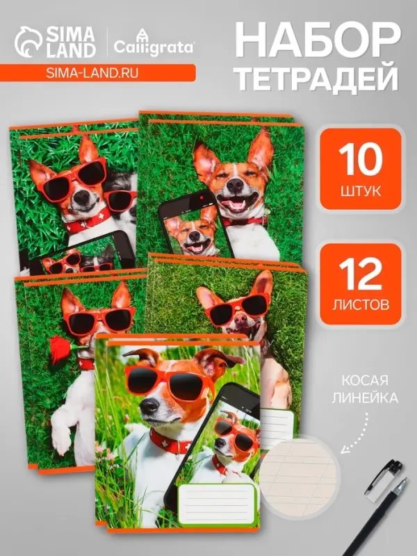 Комплект тетрадей из 10 штук, 12 листов в косую линию Calligrata "СелфиDOG", обложка мелованная бумага, ВД-лак, блок №2, белизна 75% (серые листы), 5 видов по 2 штуки