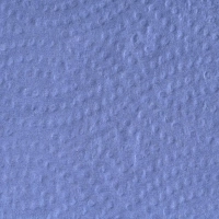 Бумага протирочная лист Luscan Professional Optima 2сл Zсл 200л/уп голубая