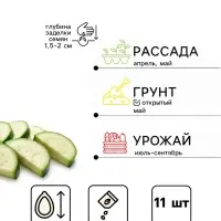 Семена Кабачок &laquo;Квета Мс&raquo;, 11 шт., &laquo;Дом семян&raquo;
