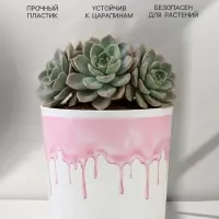 Кашпо для цветов &laquo;Текстура&raquo;, 1.6 л, d=14 см, h=14 см, пластиковое