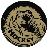 Шайба хоккейная Winter Star, взрослая, d=7.6 см