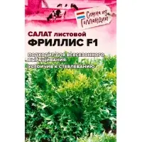 Семена Салат "Фриллис", Seminis, F1, Сем. Алт, ц/п, 0,01 г