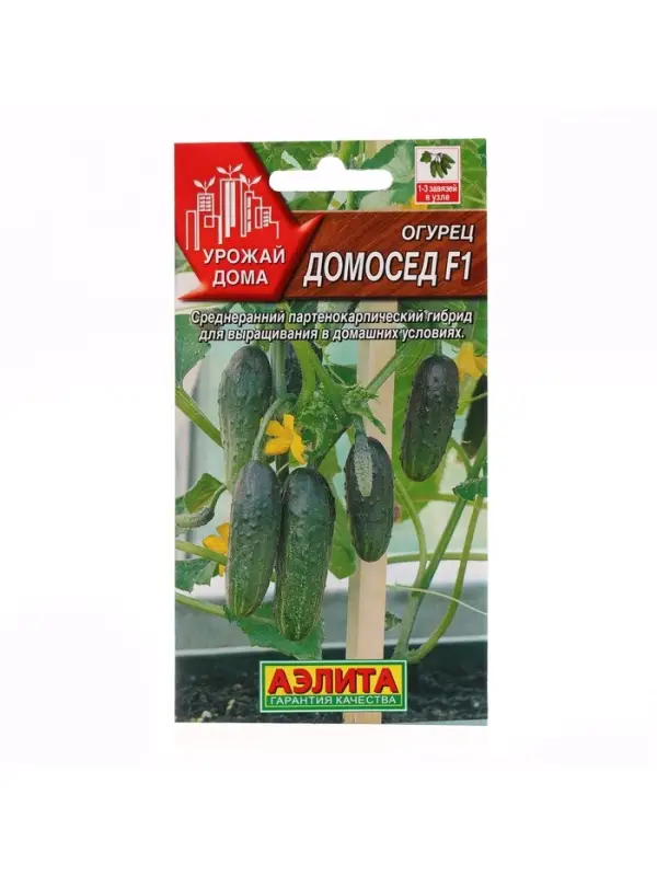 Семена огурца "Домосед", F1, 7 шт.