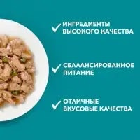 Влажный корм Purinа One для кошек, курица/морковь, 75 г