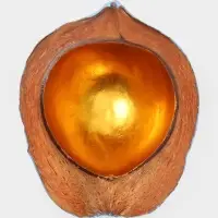 Чаша из кокоса, 22.5&times;25&times;10 см, сине-золотая