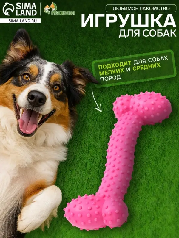 Жевательная игрушка для собак &laquo;Любимое лакомство&raquo;, 11&times;4 см, TPR, розовая